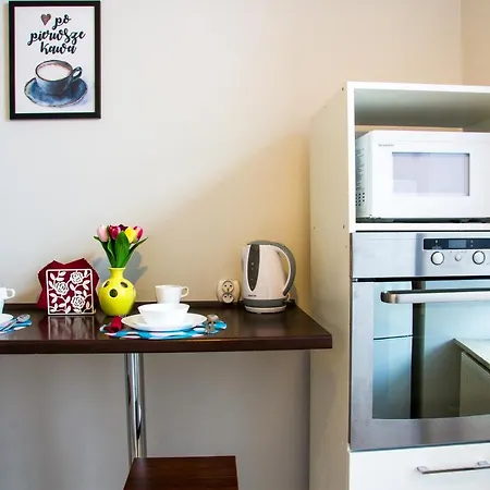 Apartament Brazowy Narutowicza 11 Lublin Exterior foto