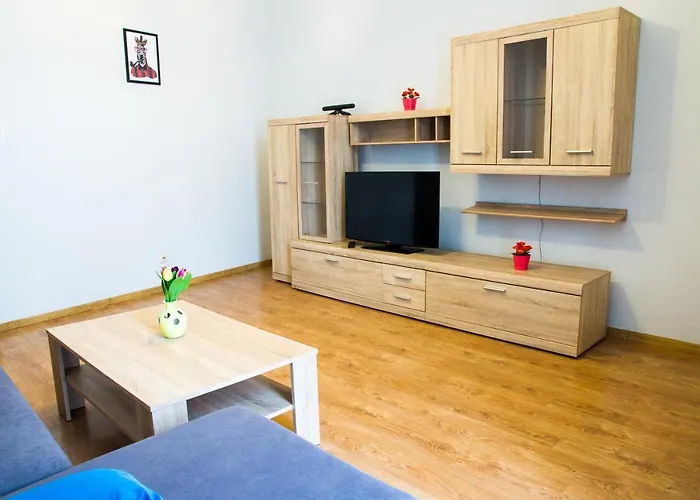 Apartament Brazowy Narutowicza 11