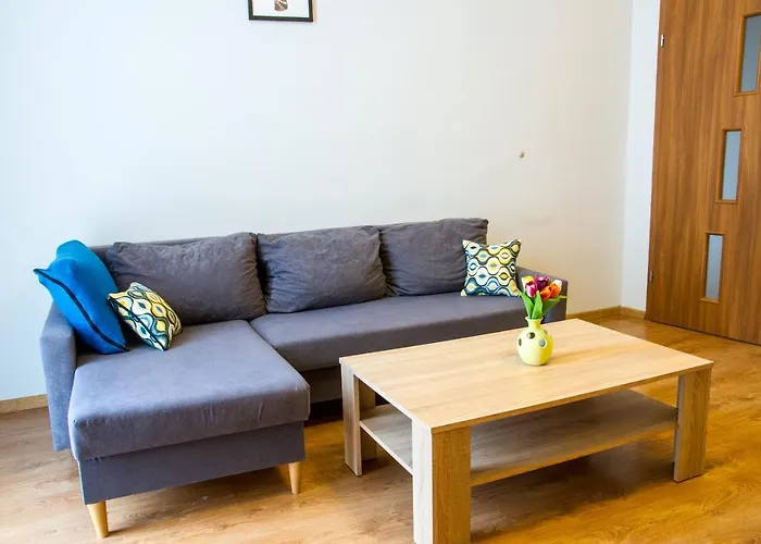 Apartament Brazowy Narutowicza 11
