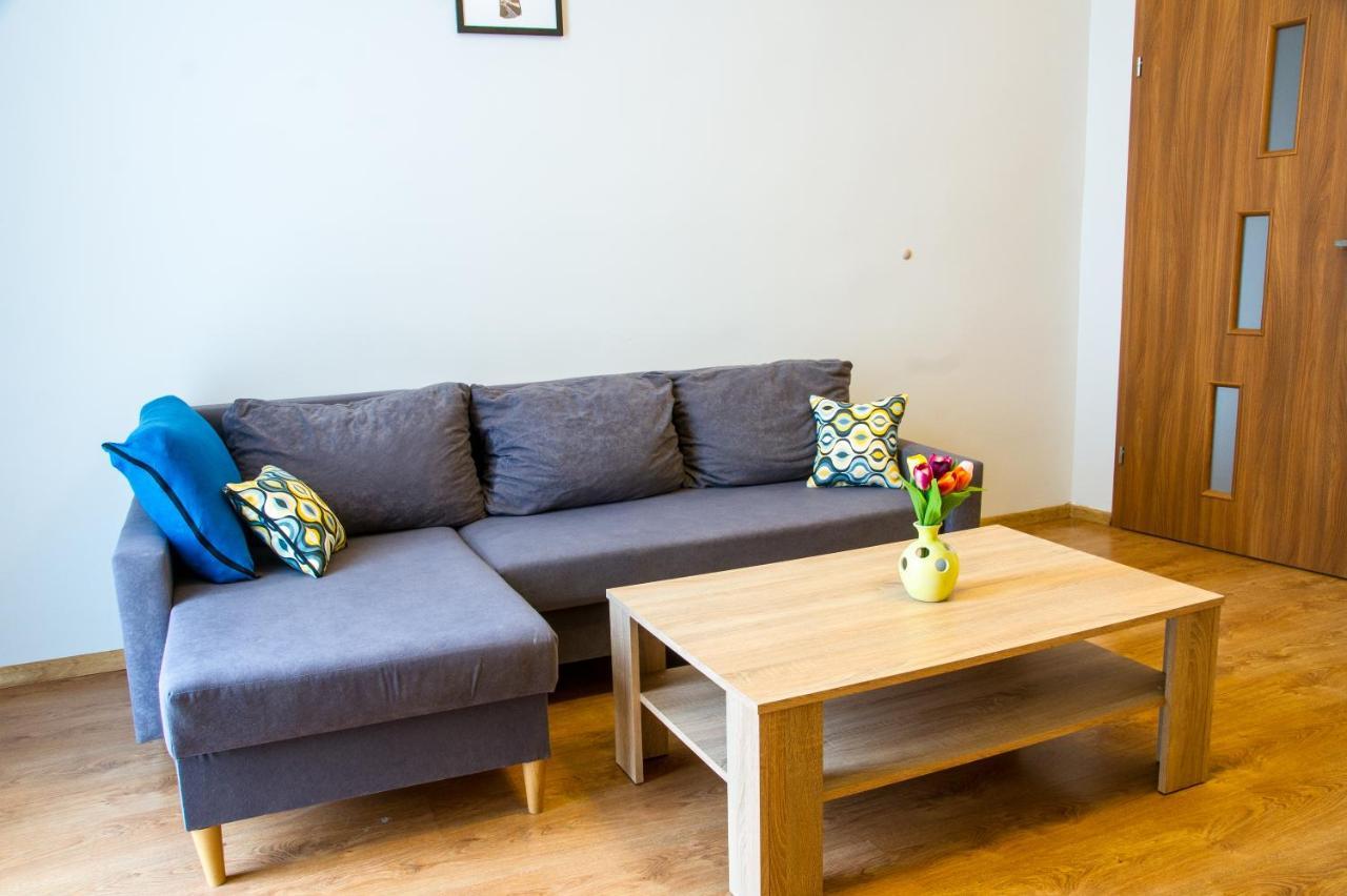 Apartment Brazowy Narutowicza 11 *